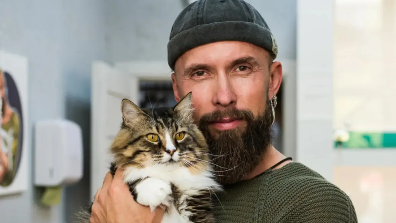 Алексей Суровцев создал пятизвёздочный «кОтель» вместо приюта: как актёр спасает бездомных кошек