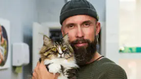 Алексей Суровцев создал пятизвёздочный «кОтель» вместо приюта: как актёр спасает бездомных кошек
