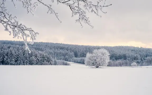 В результате активизации циклонической деятельности, погода ожидается неустойчивой и влажной во всех регионах.