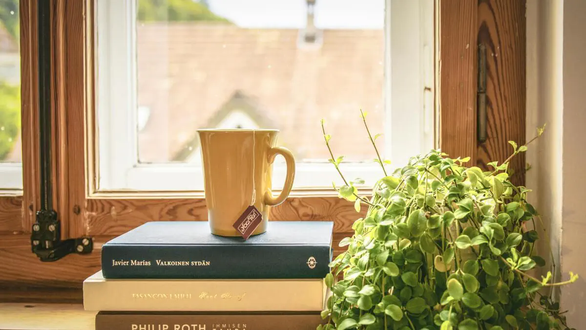 "Село для больных деменцией" будет включать дома, ресторан, спа-центр и продовольственный магазин