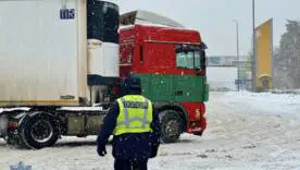 Нічна температура опуститься до -5-12°C, а на півночі до -12-18°C