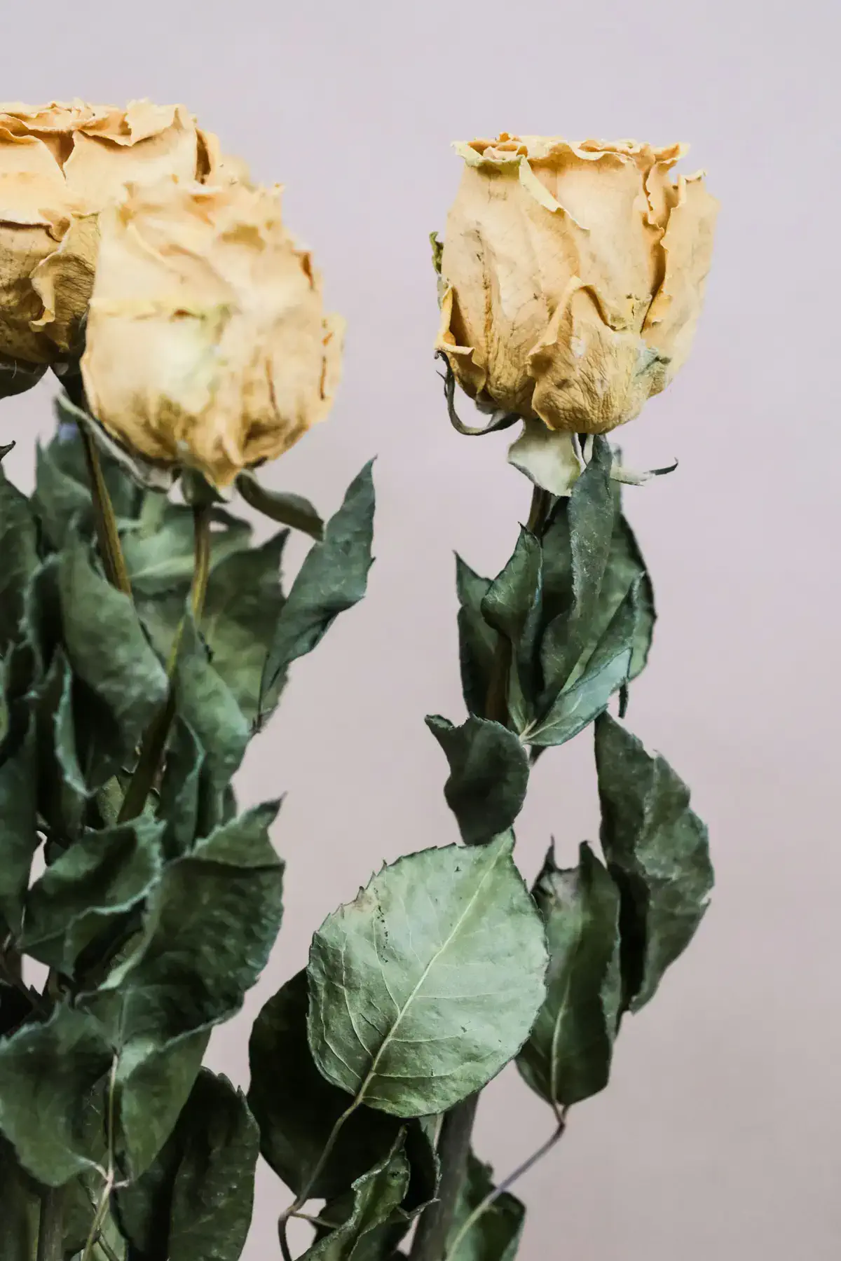 Фото: Unsplash