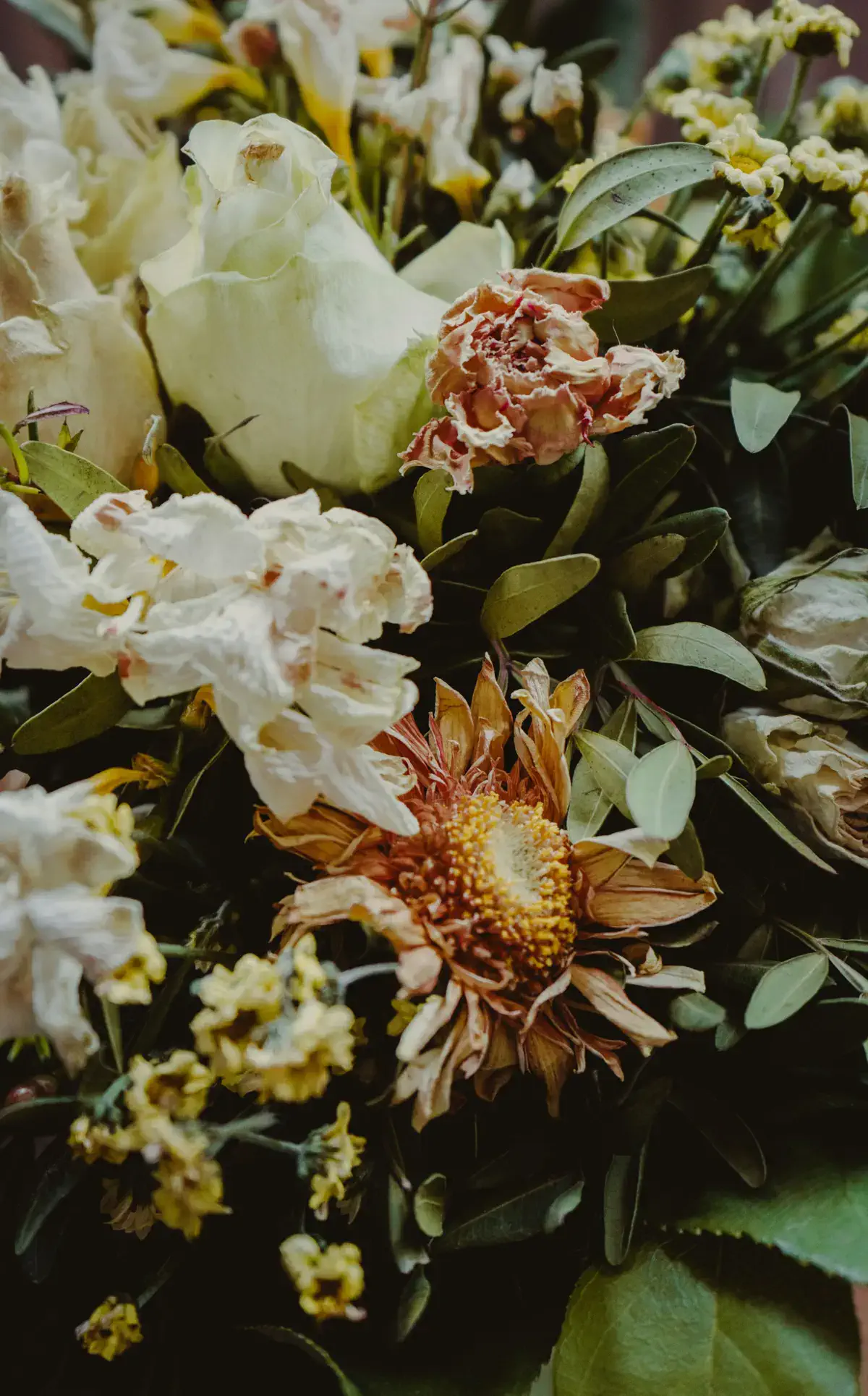 Фото: Unsplash