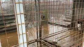 Наслідки затоплення у притулку "Бім"/Фото Оксана Литвинова