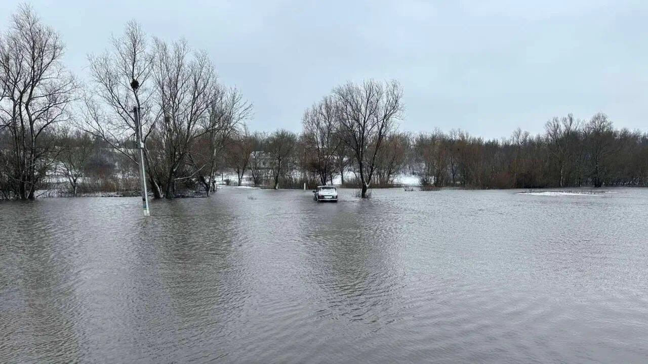 Внаслідок відлиги та сильних опадів сталася масштабна повінь у різних регіонах України.