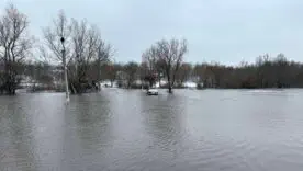 Внаслідок відлиги та сильних опадів сталася масштабна повінь у різних регіонах України.