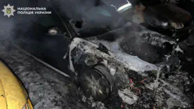 Поджоги организовывались за денежное вознаграждение