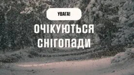 Ночью значительный снег и метели прогнозируют в Кировоградской, Черкасской, Полтавской и Сумской областях