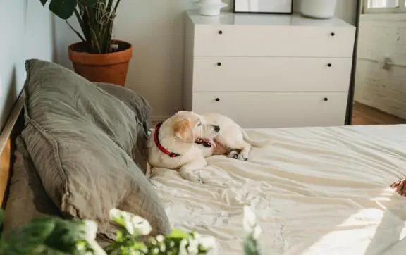 "Безделье – это фундамент продуктивности": интервью о том, как ничегонеделание приносит нам успех