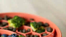 Меню для разума: 10 продуктов, укрепляющих память