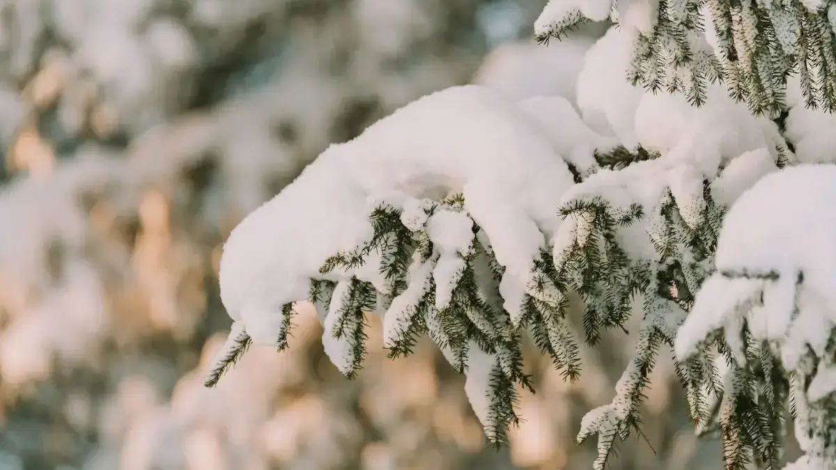 Гороскоп на 22 февраля: Кому из знаков стоит довериться интуиции, а кому — быть осторожным в словах