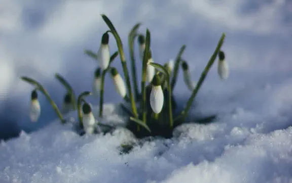 До весны – неделя! Энергопрактик рассказала МЕТА ритуал для выхода из зимы