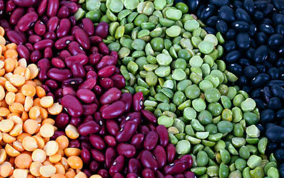 Горох, чечевица и капуста: сколько белка содержат главные овощи зимы