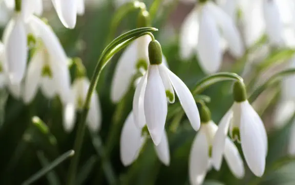 В марте прогнозируется постепенное повышение температуры воздуха и относительно спокойная погода.