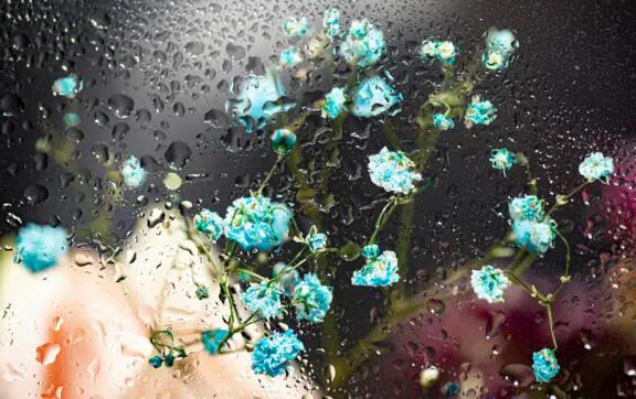 "Весна 2026 начинается с чистки траектории": энергопрактик рассказала, как жить 27 февраля–5 марта