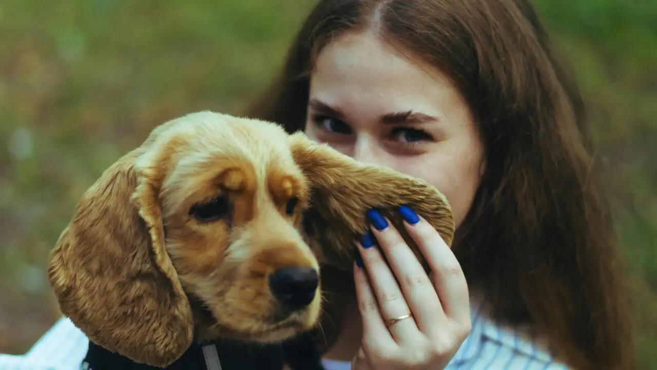  У тимчасових місцях проживання можна заселятися з котами й собаками