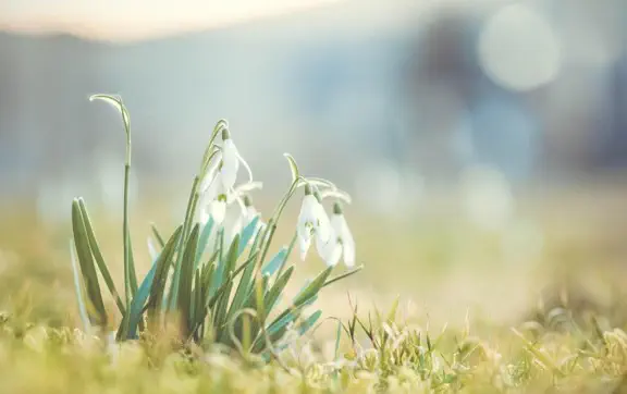 Ожидается период тёплой и солнечной погоды в большинстве областей Украины.