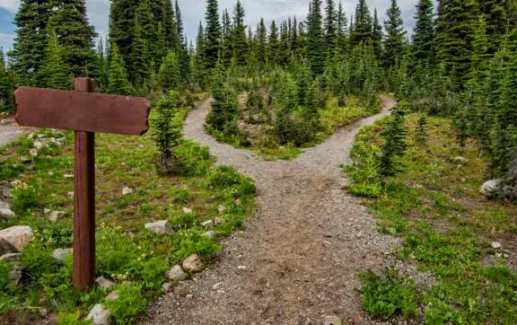 "Вопросы важнее ответов": интервью о том, как правильно принимать решения в работе и жизни