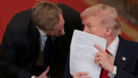 дайджест новин 