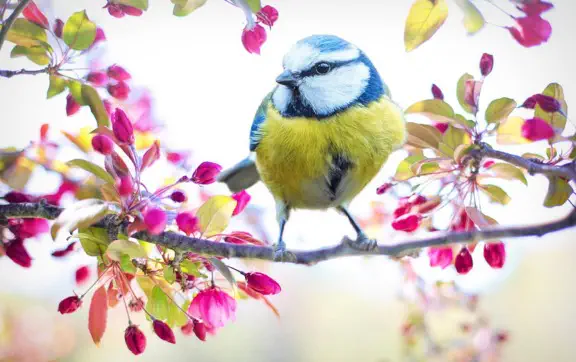 Под влиянием повышенного атмосферного давления, в нашей стране ожидается весенний характер погоды.