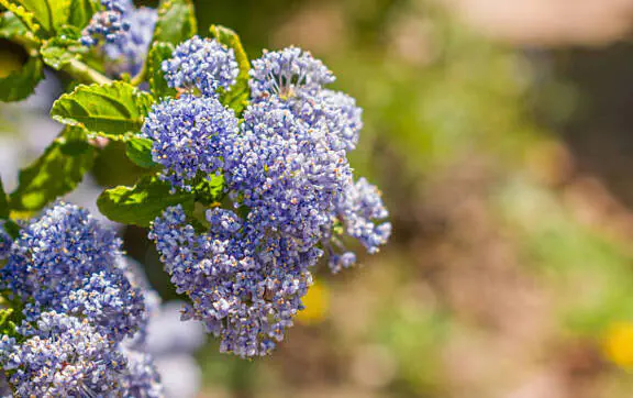 Весна в Украине 9 марта: что говорит о погоде Диденко