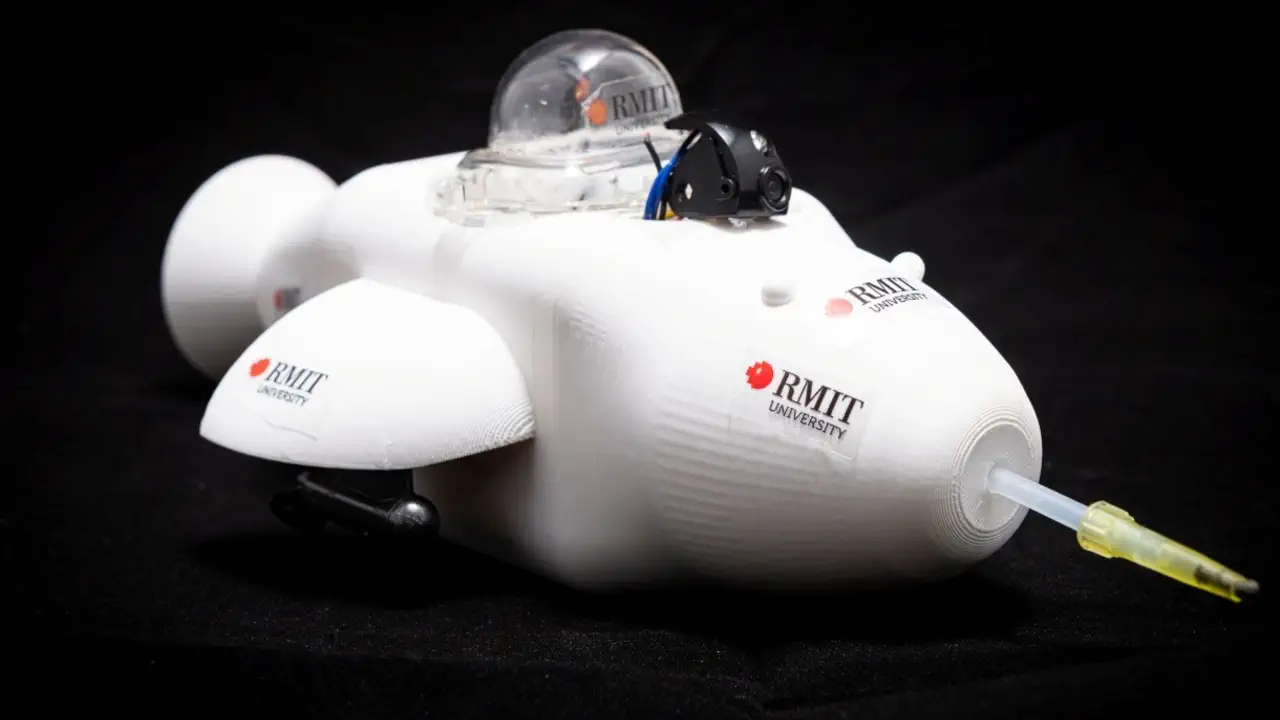 Робот-дельфин от RMIT очищает нефтяные пятна — автономно, без участия человека