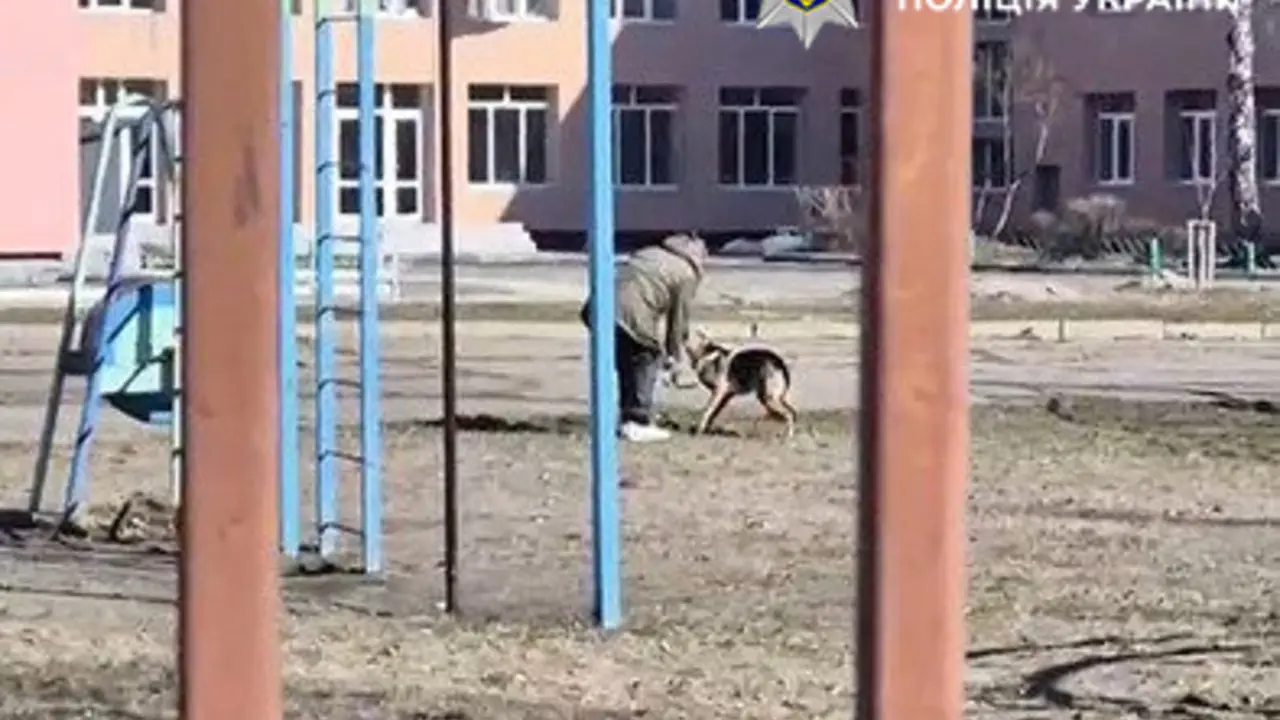 Відео з соцмереж допомогло поліції розшукати жінку, яка била собаку під час прогулянки