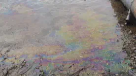 Дністер забруднення 