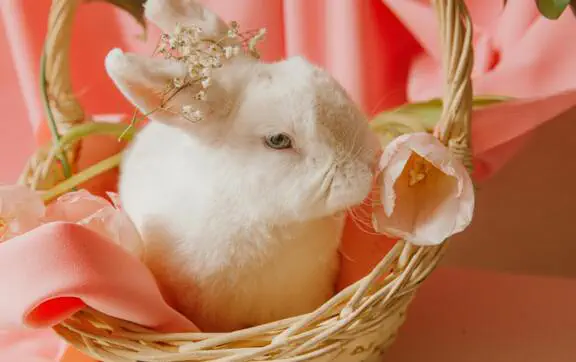 "Загадывать очень много желаний и ставить цели": энергопрактик рассказала, как жить 13-19 марта