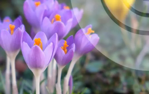 В Киевской области ожидается постепенное похолодание: прогноз Укргидрометцентра на 14–18 марта