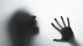 Підбурив школяра до вбивства: чоловік пообіцяв 100 тис. доларів за вбивство своєї дружини
