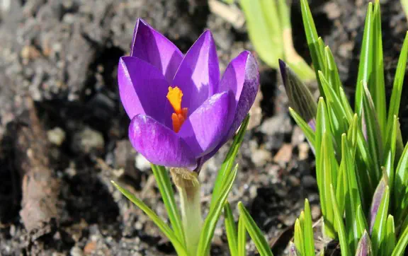 В течение ближайшей неделе температурный фон ощутимо снизится по всей Украине.