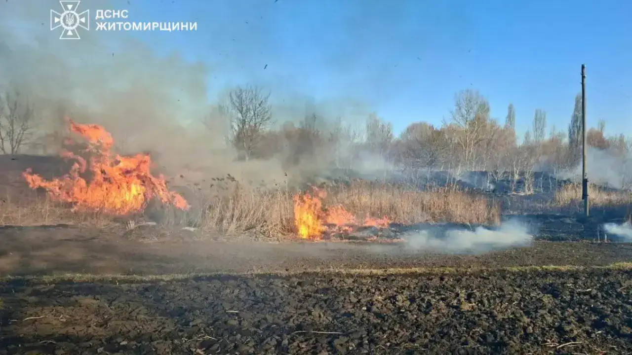 Цена сожжённой травы – госпитализация: в Житомирской области женщина получила тяжёлые ожоги
