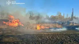 Ціна спаленої трави – госпіталізація: на Житомирщині жінка отримала тяжкі опіки під час прибирання