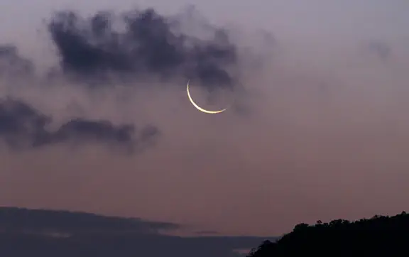 Завтра – весняний Молодик: енергопрактик розповіла МЕТА, коли він точно настає та як на нас вплине