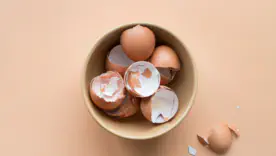 польза яичной скорлупы 