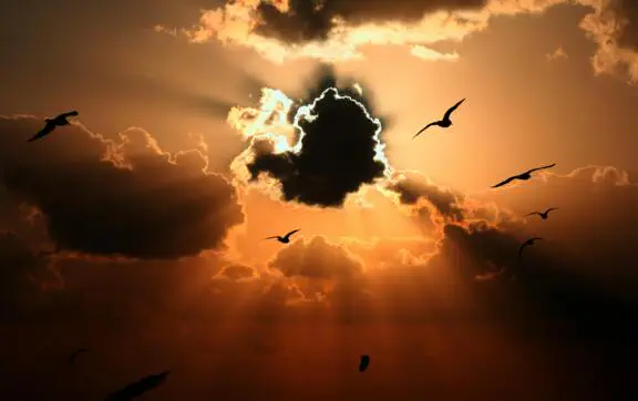 Зараз – момент Весняного рівнодення: енергопрактик розповіла МЕТА, як воно впливає на нас