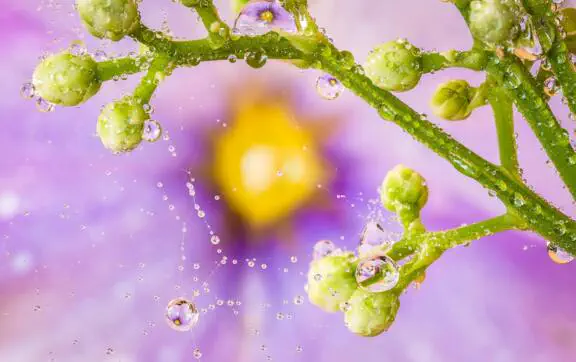 Що зробити на честь Рівнодення? Ексклюзивні поради читачам МЕТА від енергопрактика на 4 дні