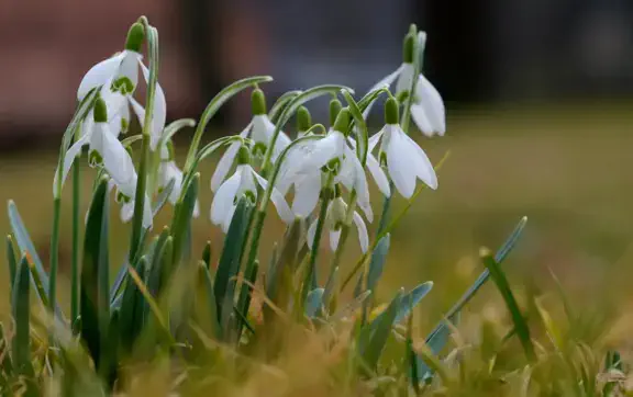Магія весняного оновлення: що пророкують зірки кожному знаку Зодіаку на 21 березня