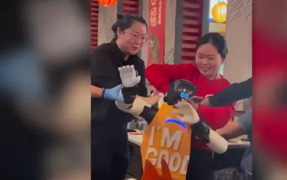 скандал із роботом у ресторані 