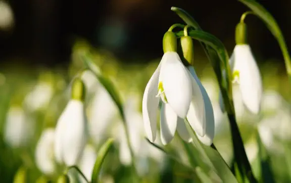 Погодные условия в ближайшие дни будут соответствовать сезону, местами пройдут дожди.