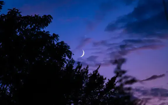 Космічний контрольний пункт: що принесе перша чверть Місяця у Раку кожному знаку Зодіаку