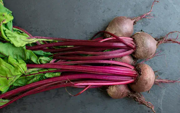 Природний допінг: як нітрати в буряковому соці підвищують фізичну працездатність та відновлення