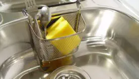 Откуда берутся мушки в сливе и как их вывести без сложных средств?