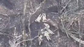 розстріл полонених 
