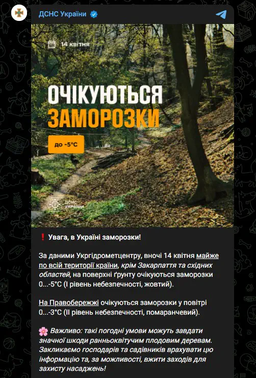 Увага, в Україні заморозки!