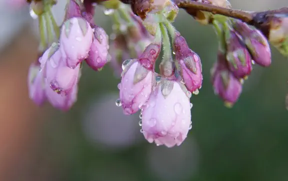 На следующей неделе прогнозируется период холодной и влажной погоды по всей Украине.
