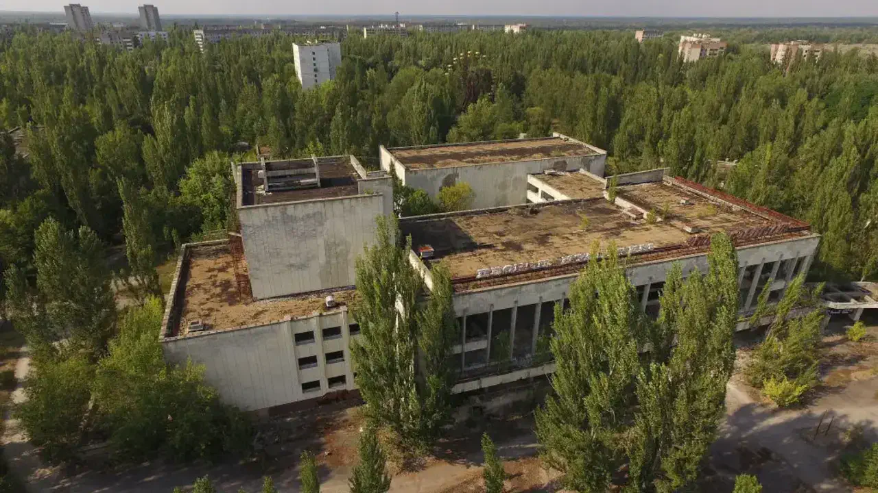 Екосистема Чорнобиля під загрозою війни: як бойові дії впливають на заповідну зону відчуження
