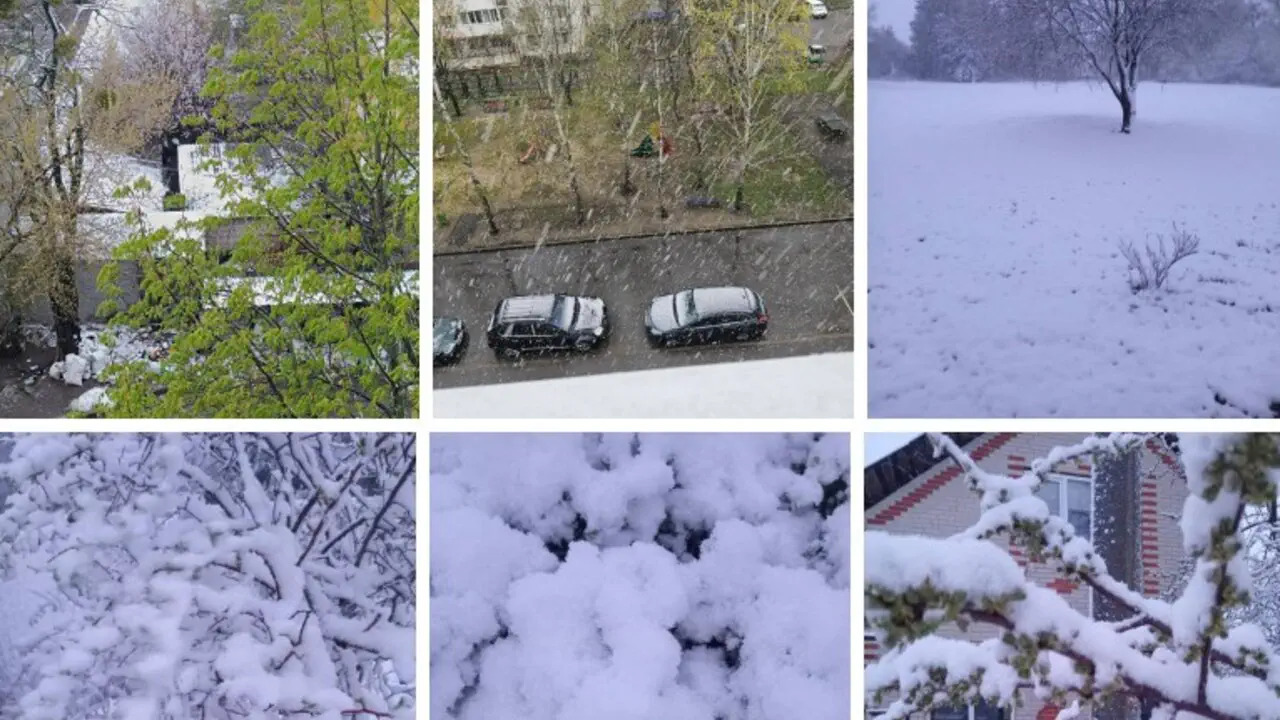  Снег и морозы до -3 °C накрыли Украину