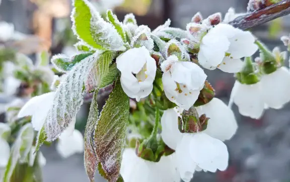 На новой неделе прогнозируется холодная погода, временами с дождями и порывистым ветром.